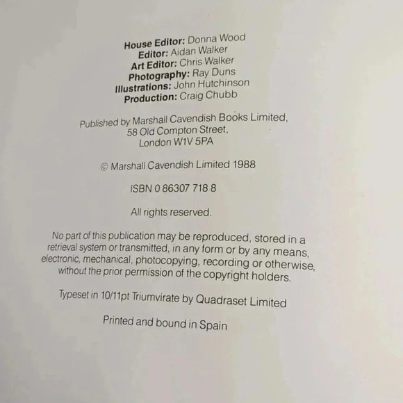 Paper Dinosaurs: 20 model monsters to cut and fold - Picture 2 of 7